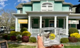 Looming THC ban could kill small businesses in North Carolina